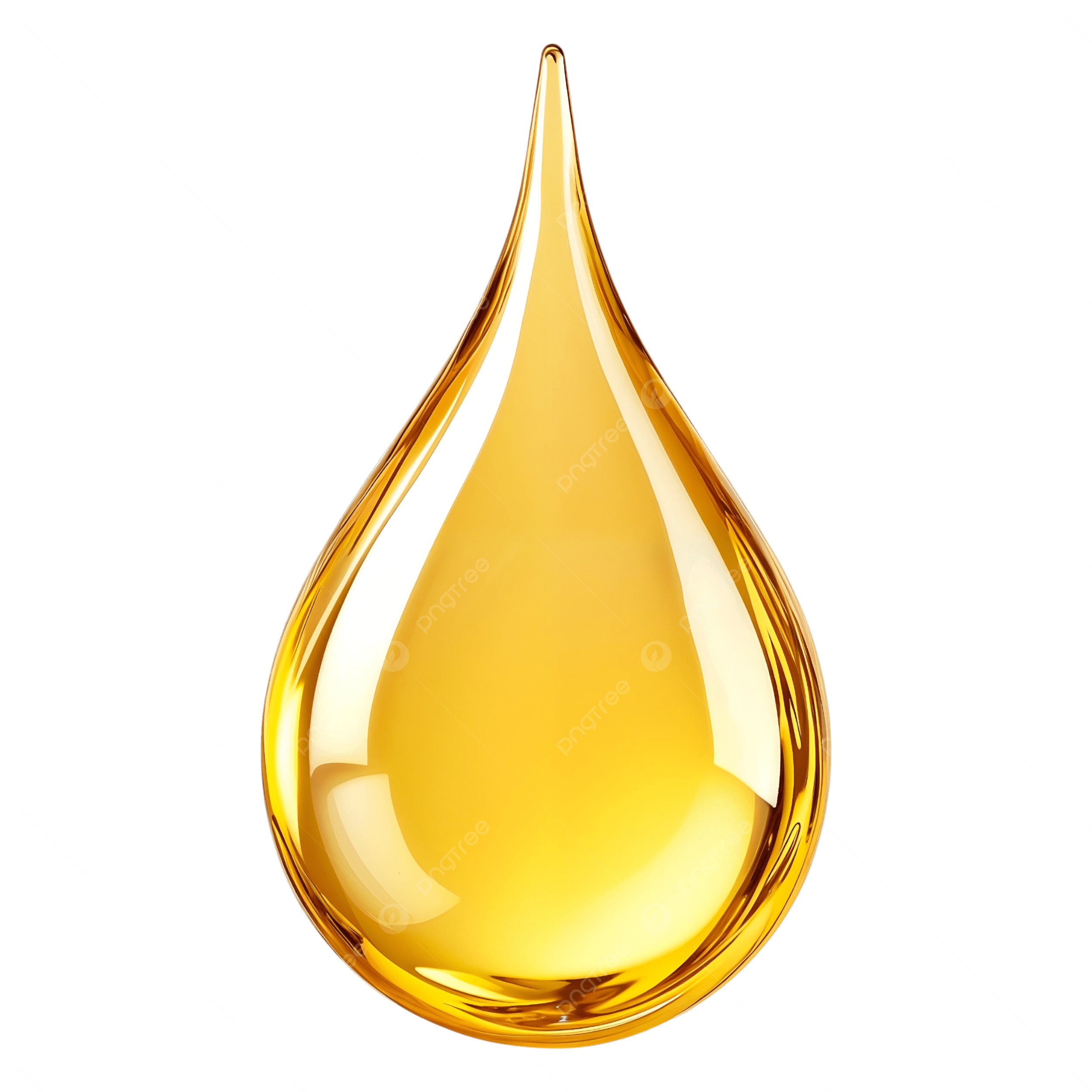 Organic Moroccan Argan Oil | ROYAL&BIO
